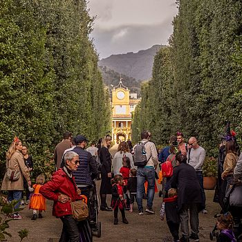 /images/3/2/32-caccia-al-tesoro-di-halloween-villa-reale-di-marlia-foto-di-giuseppe-panico--46-.jpg