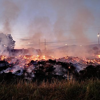 /images/3/5/35-incendio-cascine10.jpeg