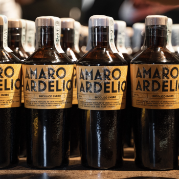 /images/4/1/41-amaro-ardelio1.png