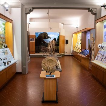 /images/4/3/43-museo-paleontologico-1.jpg