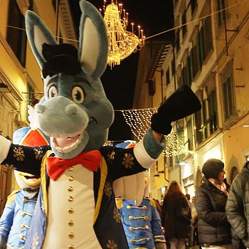 /images/4/4/44-empolino-ciuchino.jpg