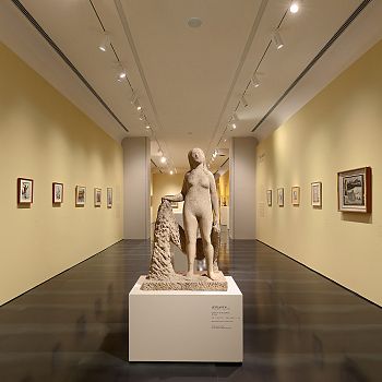 /images/4/6/46-museo-novecento-firenze--collezione-alberto-della-ragione-©nicolaneri-web-01.jpg