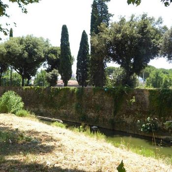 /images/5/0/50-09---il-secondo-filare-di-lecci-e-cipressi--sul-lato-opposto.jpg