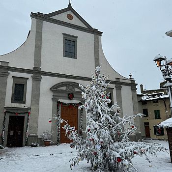 /images/5/0/50-emergenza-neve-san-casciano-2.jpg