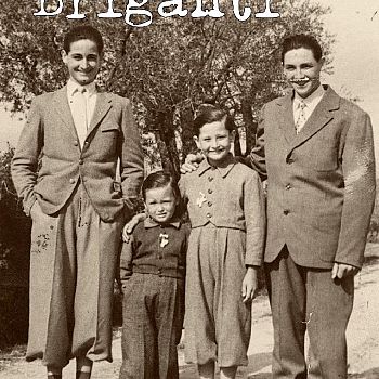 /images/5/3/53-copertina-libro-briganti.jpg