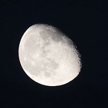 /images/5/3/53-img-6472.jpeg
