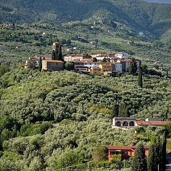 /images/5/4/54-buggiano--pt---colle-di-buggiano-foto-©-fai.jpg