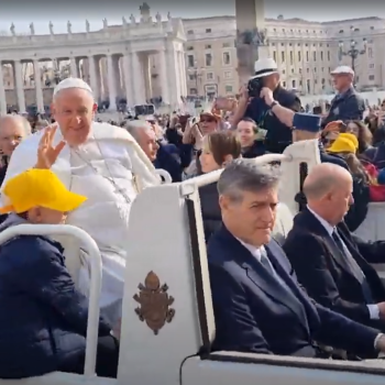 /images/5/6/56-noi-dal-papa--2-.png