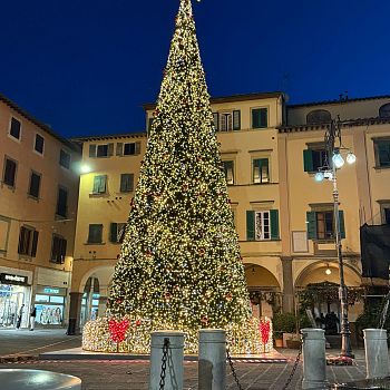 /images/5/7/57-l-albero-piu-alto-della-toscana-installazione-luminosa.jpg