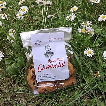 /images/6/5/65-biscottigaribaldi.jpg