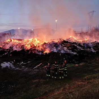 /images/6/5/65-incendio-cascine4.jpeg