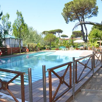 /images/6/7/67-nov-1237.jpg