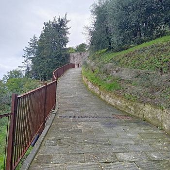 /images/6/8/68-camminamento-santo-stefano-3.jpg