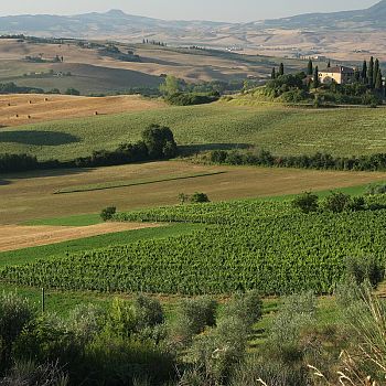 /images/6/9/69-turismo-orcia-doc--002-.jpg