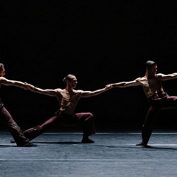 /images/7/2/72-cornelia-variation---ph--karolina-kuras-2.jpg