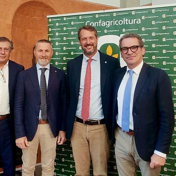 /images/8/5/85-giannozzi--tocchi--bartolini--cavicchioli-cropped-53.jpg
