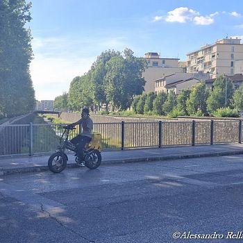 /images/8/5/85-monopattini--bici-elettriche--14-.jpg