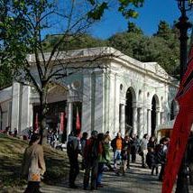 /images/8/5/85limonaia-villa-strozzi-lailac.jpg