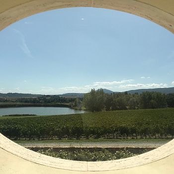 /images/9/4/94-carpineto-vista-sul-lago-tenuta-montepulciano-estate.jpeg