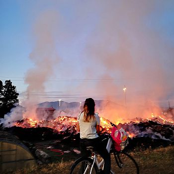 /images/9/5/95-incendio-cascine5.jpeg