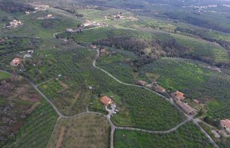 meno-emissioni-piu-ulivi-piu-giovani-agricoltori