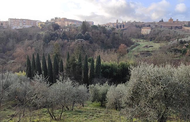 usucapione-di-un-terreno-dopo-un-possesso-ultraventennale
