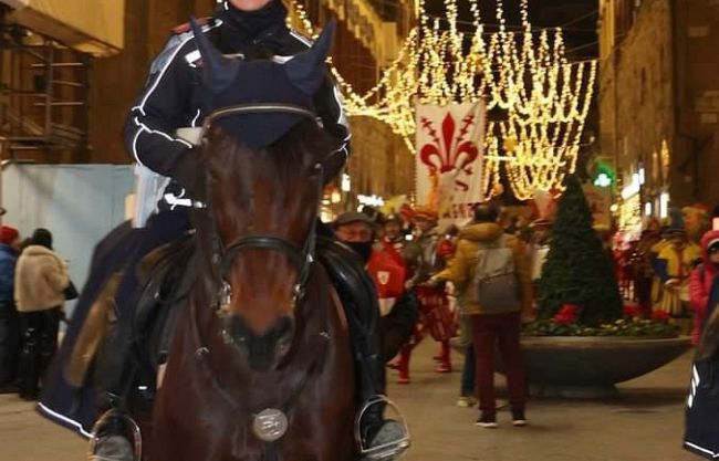 in-pensione-il-cavallo-piu-anziano-della-polizia-municipale