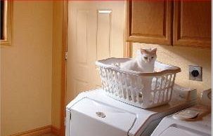 amazonit-lebook-di-elena-novelli-ancora-in-classifica-su-kindle-store