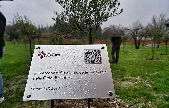 firenze-il-memoriale-del-covid-e-un-bosco-con-cipressi-e-ulivi