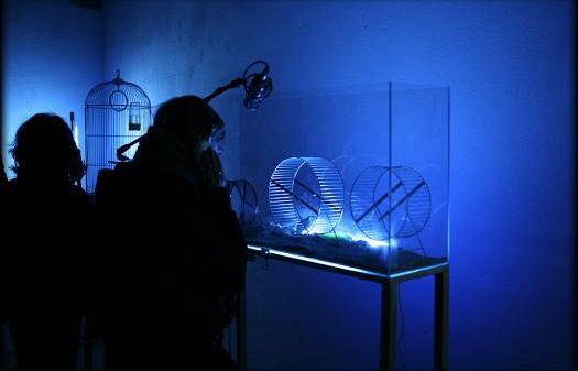 b010241833-festival-della-creativita-appuntamento-al-2011