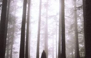 a712181444-gas-serra-le-foreste-toscane-primo-presidio-anti-inquinamento