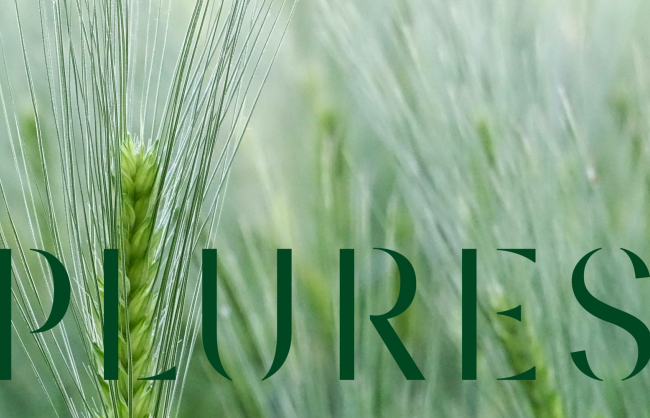 plures-e-il-nuovo-nome-della-multiutility