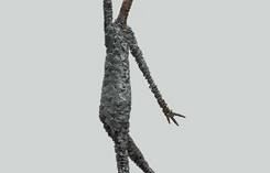 b208282239-il-pinocchio-di-venturi-in-via-tornabuoni