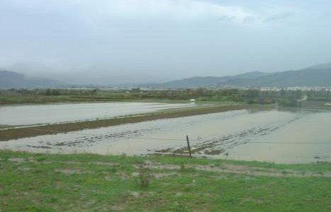 alluvione-salta-laudizione-in-prefettura