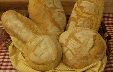 b207231541-arriva-gran-prato-il-pane-a-km-0-dal-grano-alla-bozza-tutto-made-in-prato