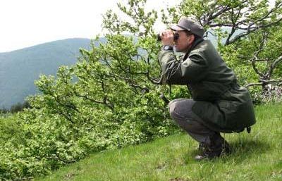 a909161620-toscana-bruciati-1186-ettari-di-bosco-in-557-roghi