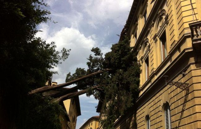 maltempo-lunedi-la-scuola-don-milani-nel-quartiere-4-restera-chiusa