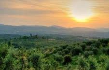 ai-georgofili-i-prodotti-del-chianti-dal-vino-allolio-dagli-chef-al-trap