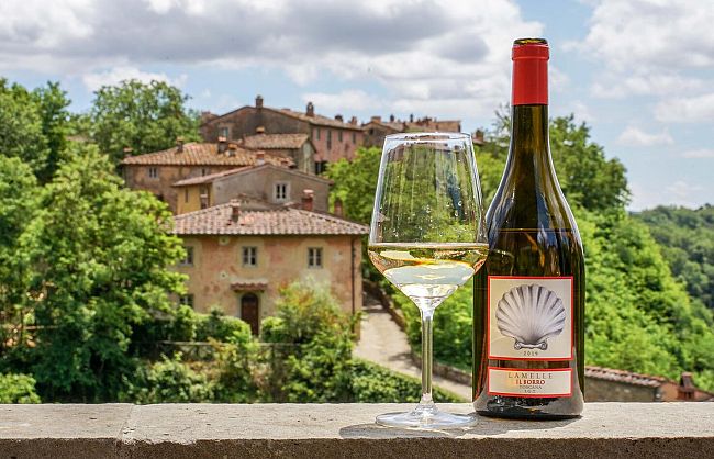 lamelle-igt-toscana-2021