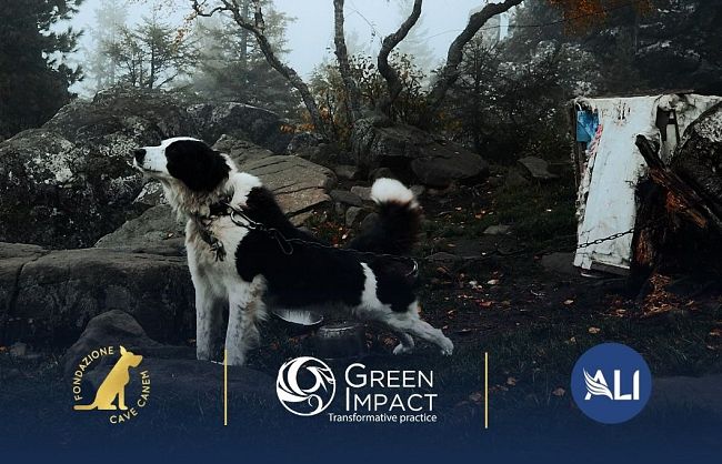 vietato-in-toscana-tenere-cani-a-catena-fino-al-30-settembre-2022