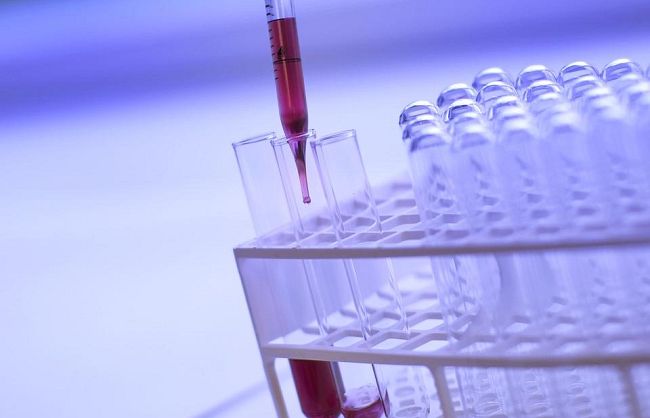 dengue-virus-confermati-novanta-casi