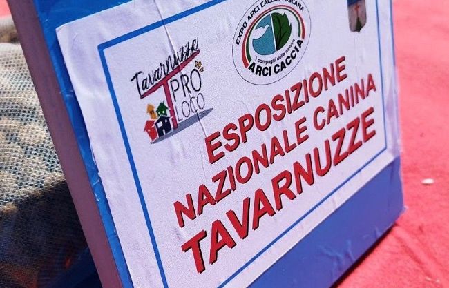 tavarnuzze-celebra-gli-amici-delluomo-con-la-18-esposizione-caninca