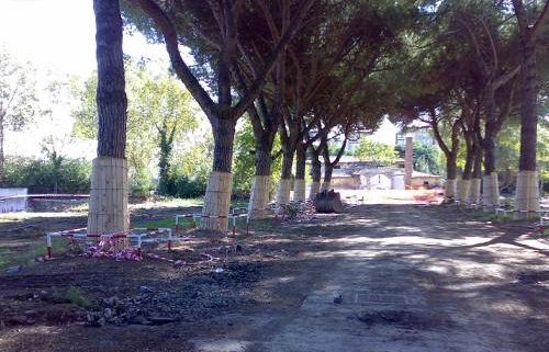 a911051744-tav-de-zordo-necessaria-una-task-force-per-supportare-i-cittadini