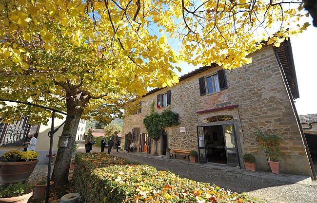 fattoria-santo-stefano-vino-olio-e-liberta