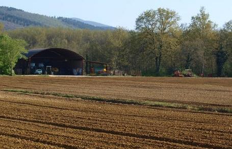 b102091513-sviluppo-rurale-raffica-di-bandi-per-51-2-milioni