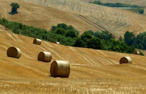 b205041926-salvadori-primo-in-italia-il-nuovo-bando-sull-agricoltura-sociale