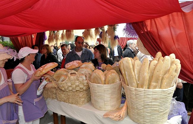 b205091615-torna-la-festa-del-pane-di-altopascio