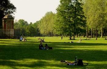 b106022129-parco-delle-cascine-domenica-presentati-ai-cittadini-i-progetti-di-recupero