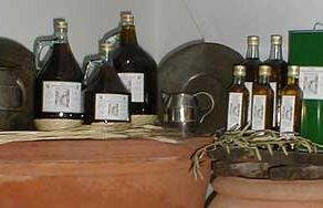 a712012304-domenica-2-dicembre-oleovagando-apre-al-pubblico-i-frantoi-e-aziende-agricole-del-territorio