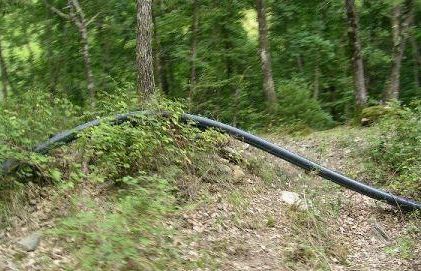 b101181653-benedetti-pdl-i-nostri-boschi-non-paghino-le-divisioni-della-maggioranza